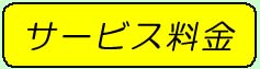 �T�[�r�X����